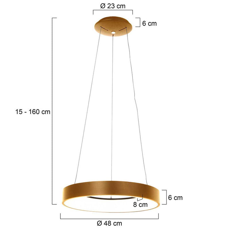 Hanglamp Ringlede 2695GO Goud