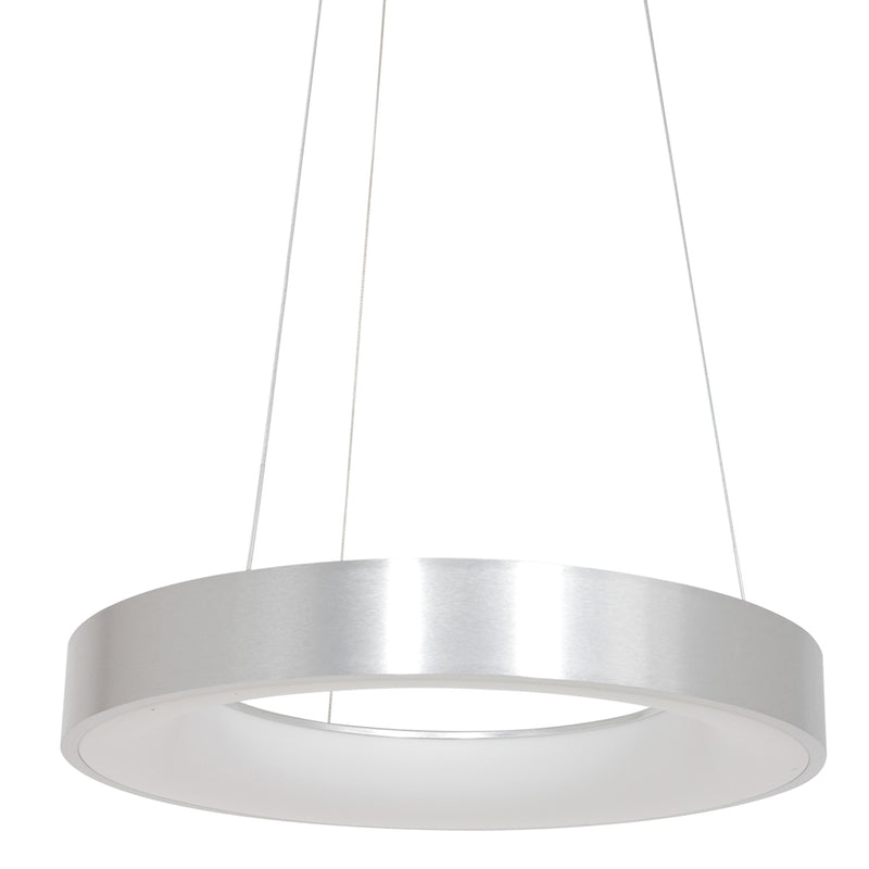 Hanglamp Ringlede 2695ZI Zilver