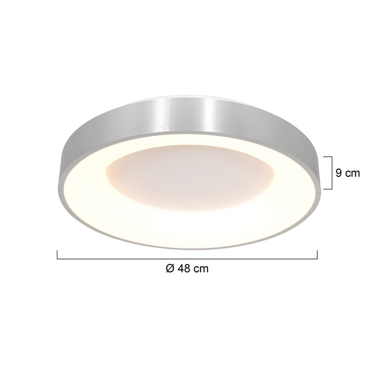 Plafondlamp RInglede 2563ZI Zilver Ø48cm