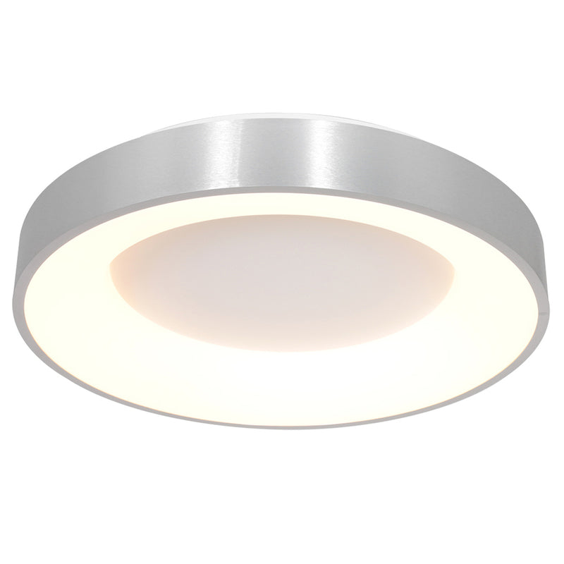 Plafondlamp RInglede 2563ZI Zilver Ø48cm