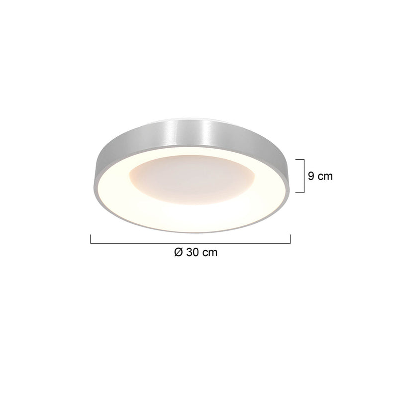 Plafondlamp Ringlede 3086ZI Zilver Ø30cm