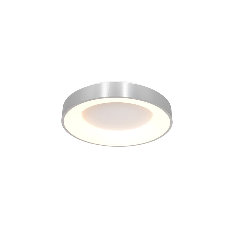 Plafondlamp Ringlede 3086ZI Zilver Ø30cm