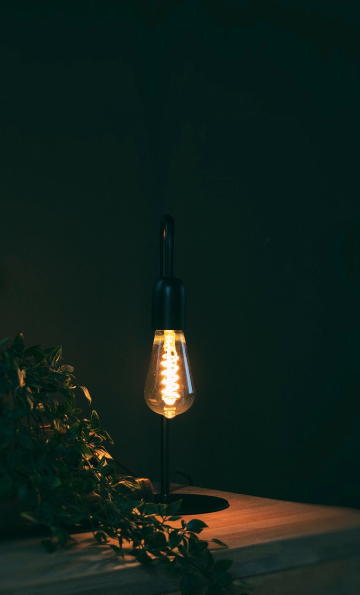 Filament Lamp – Zwart Glas