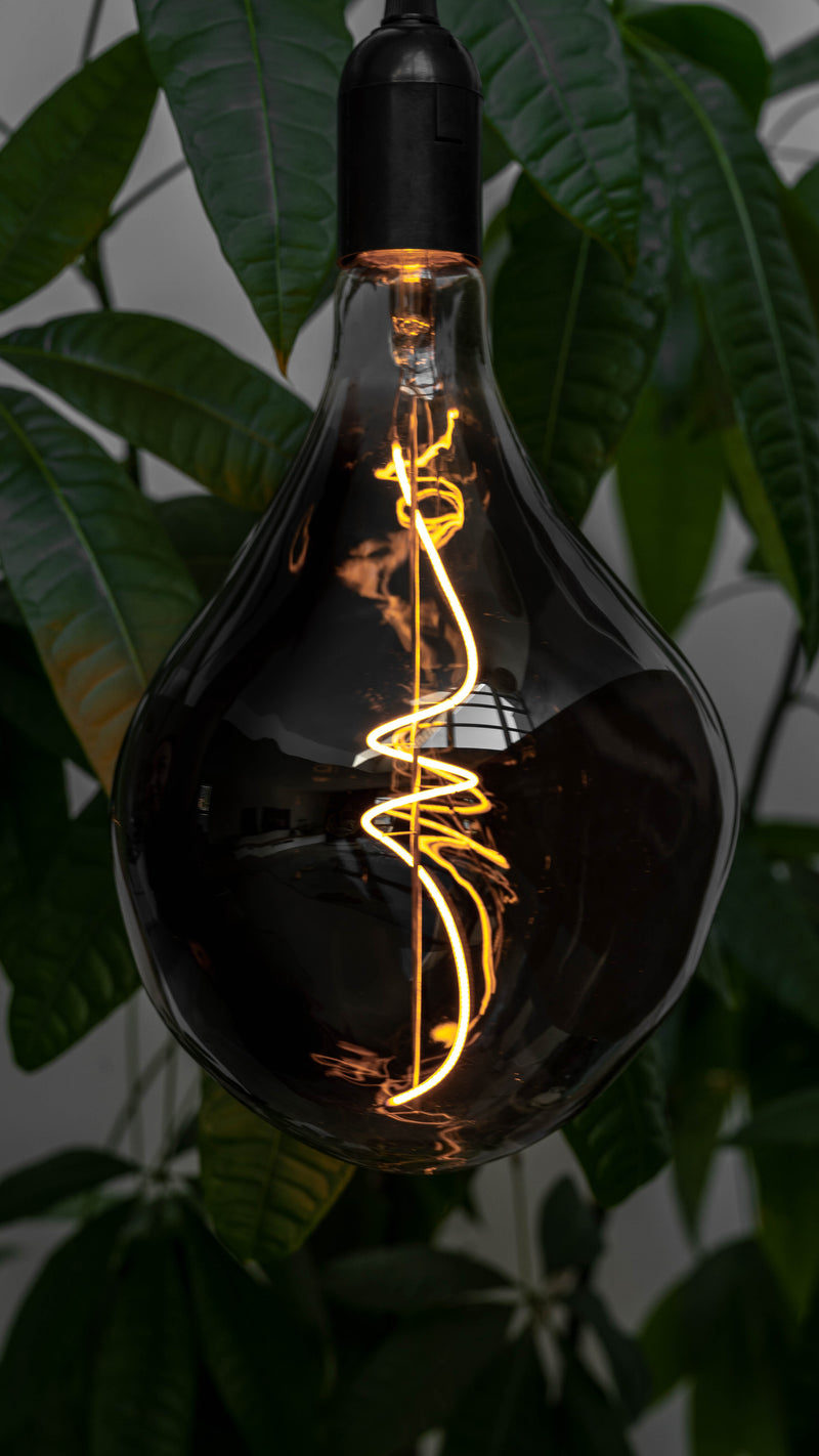 XXL Filament Lamp - Zwart Glas - ET160